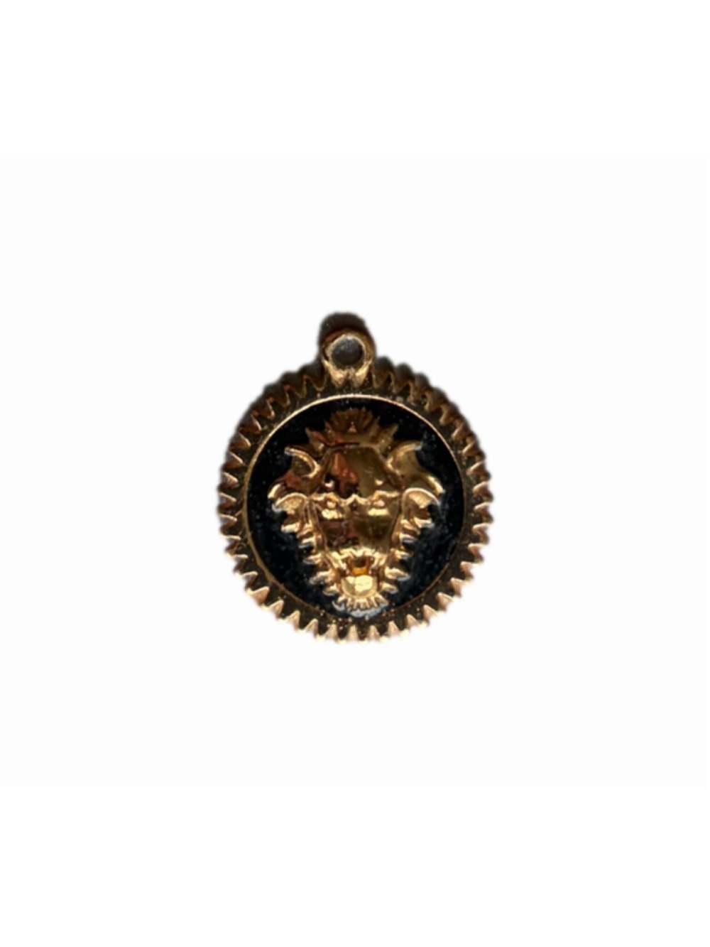 Women's Gold and Black Lion Head Pendant Necklace